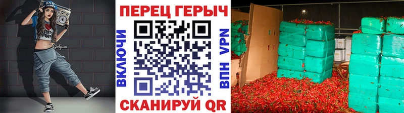 hydra маркетплейс  Электрогорск  Героин гречка  даркнет сайт 