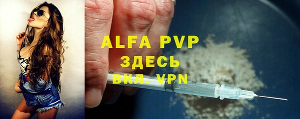 спайс Бородино