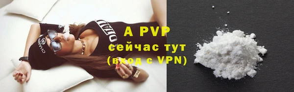 спайс Бородино
