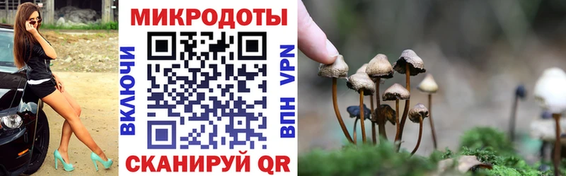 Галлюциногенные грибы MAGIC MUSHROOMS  Электрогорск 